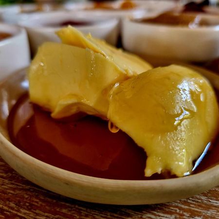 Olea Sigacik Pansiyon & Bistro 세페리히사르 외부 사진