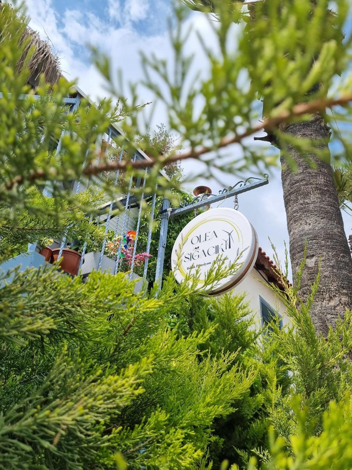 Olea Sigacik Pansiyon & Bistro 세페리히사르 외부 사진